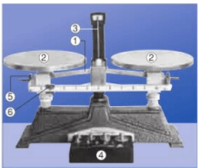 Cân roberval là gì | Khoa học tự nhiên lớp 6 (ảnh 1)