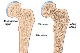 Chất khoáng là gì? Vai trò của chất khoáng đối với cơ thể?