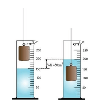 Đo thể tích vật rắn không thấm nước | Khoa học tự nhiên lớp 6 (ảnh 1)