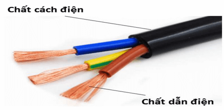 Đối tượng nghiên cứu của khoa học tự nhiên | Khoa học tự nhiên lớp 6 (ảnh 1)