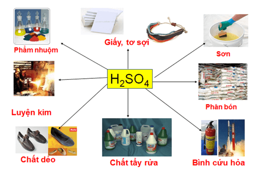 Đối tượng nghiên cứu của khoa học tự nhiên | Khoa học tự nhiên lớp 6 (ảnh 1)