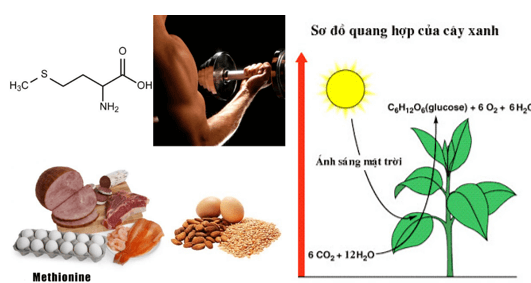 Hiện tượng tự nhiên gồm những gì? | Khoa học tự nhiên lớp 6 (ảnh 1)