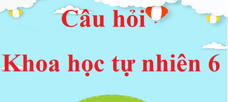 Bộ câu hỏi ôn tập Khoa học tự nhiên lớp 6 | KHTN lớp 6