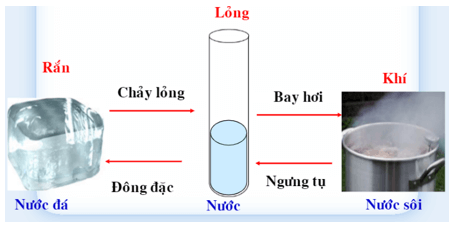 Khoa học tự nhiên nghiên cứu về lĩnh vực nào? | Khoa học tự nhiên lớp 6 (ảnh 1)