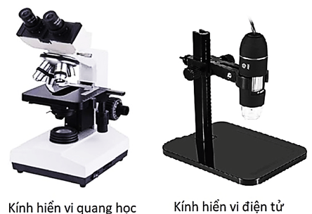 Kính hiển vi quang học và kính hiển vi điện từ | Khoa học tự nhiên lớp 6 (ảnh 1)