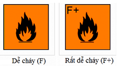 Ký hiệu cảnh báo dễ cháy | Khoa học tự nhiên lớp 6 (ảnh 1)