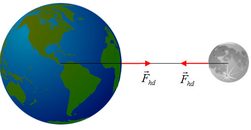Lực hấp dẫn là gì?| Khoa học tự nhiên lớp 6 (ảnh 1)