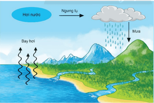 Mô tả vòng tuần hoàn của nước trong tự nhiên?