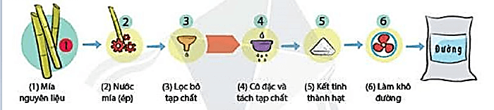 Nêu quy trình sản xuất đường mía trong công nghiệp?