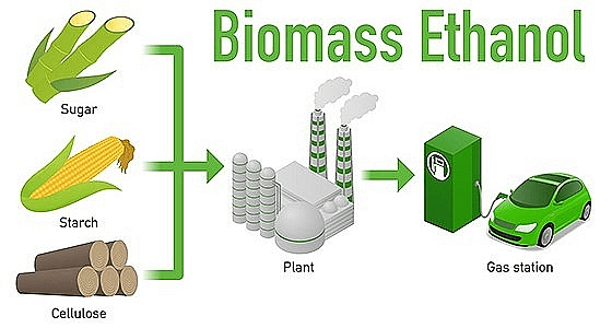 Nhiên liệu sinh học là gì? Cho ví dụ