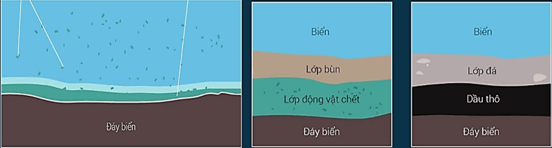 Quá trình hình thành dầu mỏ| Khoa học tự nhiên lớp 6 (ảnh 1)