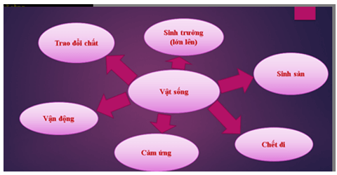 Vật không sống là những vật nào? | Khoa học tự nhiên lớp 6 (ảnh 1)