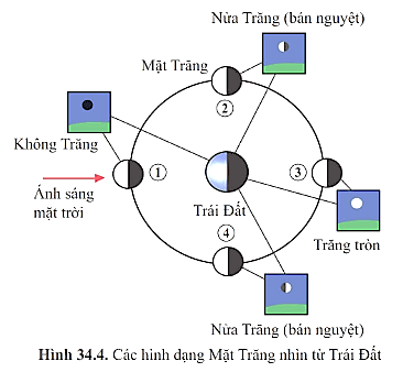 Vì sao Mặt Trăng có nhiều hình dạng khác nhau?| Khoa học tự nhiên lớp 6 (ảnh 1)