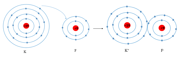 Số electron ở lớp ngoài cùng của nguyên tử K và F lần lượt là 1 và 7