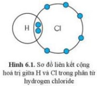 Quan sát hình 6.1, hãy so sánh hóa trị của nguyên tố và số electron mà nguyên tử của nguyên tố đã góp chung