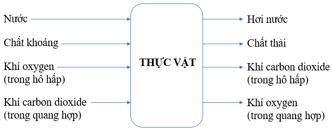 Vẽ sơ đồ khái quát về sự trao đổi chất ở thực vật và động vật