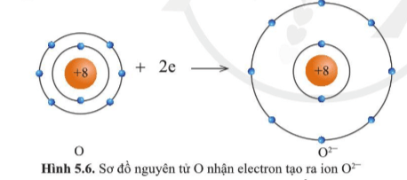 Quan sát các hình 5.5 và 5.6 cho biết các ion Mg2+ và O2- có lớp vỏ tương tự khí hiếm