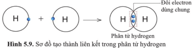 Quan sát hình 5.9, hãy cho biết nguyên tử H trong phân tử hydrogen có lớp vỏ tương tự khí hiếm nào