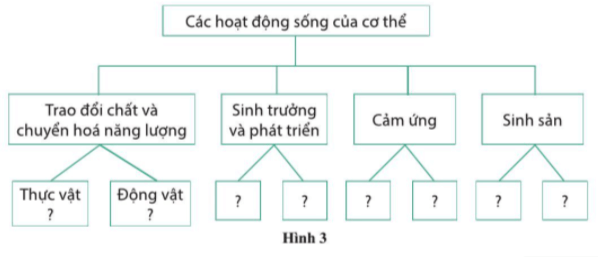 Vẽ sơ đồ khái quát các hoạt động sống của cơ thể ở thực vật và động vật