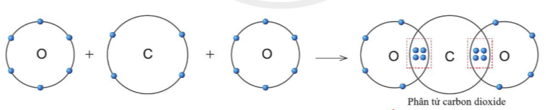 Quan sát hình 5.11, hãy cho biết trong phân tử khí carbonic nguyên tử C có bao nhiêu electron