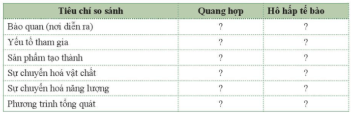 Trình bày sự khác nhau giữa quá trình quang hợp và hô hấp tế bào theo bảng