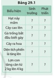 Cho biết các biểu hiện của sinh vật ở trong bảng 29.1 là sinh trưởng hay phát triển