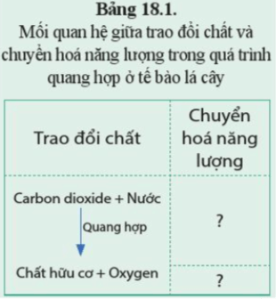 Cho các cụm từ: năng lượng ánh sáng, năng lượng hoá học