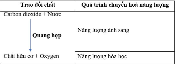 Cho các cụm từ: năng lượng ánh sáng, năng lượng hoá học