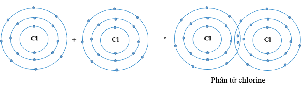 Hai nguyên tử Cl liên kết với nhau tạo thành phân tử chlorine. Mỗi nguyên tử C
