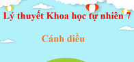 Lý thuyết KHTN 7 Cánh diều (hay, ngắn gọn) | Kiến thức trọng tâm Khoa học tự nhiên 7