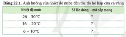 Thí nghiệm: Ảnh hưởng của nhiệt độ nước đến tốc độ hô hấp của cá vàng