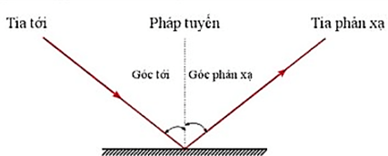 Trắc nghiệm KHTN 7 Cánh diều Bài 13 (có đáp án): Sự phản xạ ánh sáng