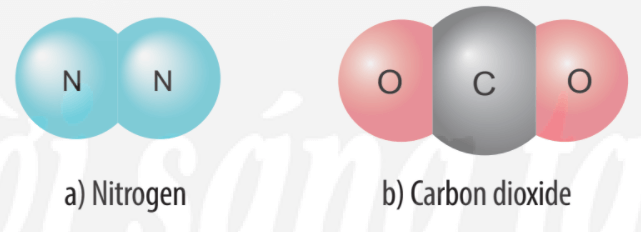 Cho biết vị trí trong bảng tuần hoàn, số electron lớp ngoài cùng