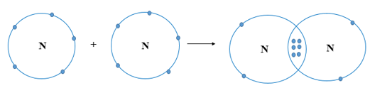 Cho biết vị trí trong bảng tuần hoàn, số electron lớp ngoài cùng