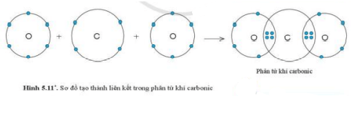 Cho biết vị trí trong bảng tuần hoàn, số electron lớp ngoài cùng