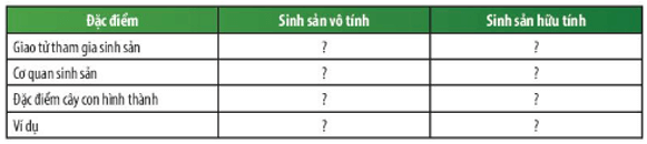 Nêu sự khác biệt giữa sinh sản vô tính và sinh sản hữu tính ở thực vật