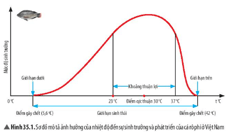 Quan sát Hình 35.1, hãy cho biết