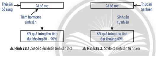 Đọc đoạn thông tin và quan sát Hình 38.1 và 38.2, hãy nêu một số yếu tố ảnh hưởng