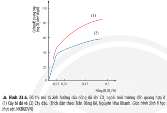 Quan sát đồ thị Hình 23.6, hãy: Nhận xét về ảnh hưởng của hàm lượng