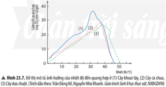 Quan sát đồ thị Hình 23.7, hãy xác định: Nhiệt độ tối ưu