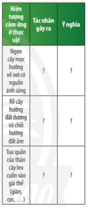 Quan sát Hình 32.3 và hoàn thành bảng theo mẫu sau