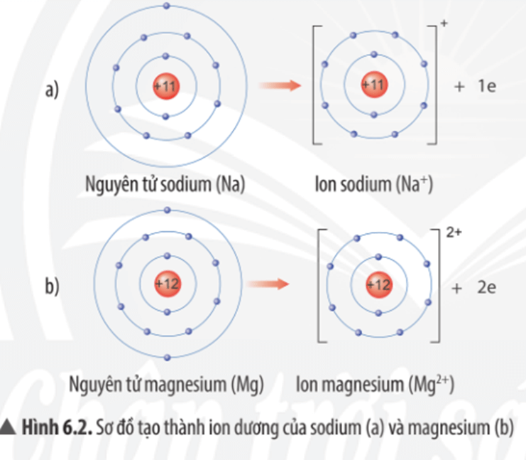 Quan sát Hình 6.2, em hãy mô tả sự tạo thành ion sodium, ion magnesium