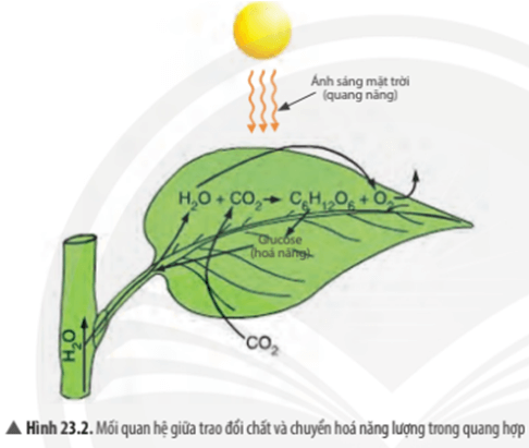 Quan sát Hình 23.2, hãy xác định: Nguồn cung cấp năng lượng