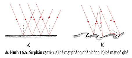 Nêu nhận xét về hướng của các tia sáng phản xạ trong Hình 16.5a và 16.5b