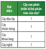 Quan sát Hình 37.2 và 37.5, hãy hoàn thành bảng sau