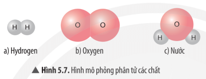 Quan sát Hình 5.7, em hãy cho biết phân tử chất nào là phân tử đơn chất