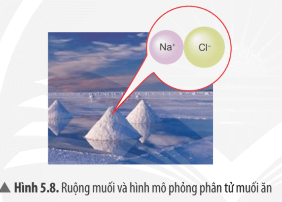 Muối ăn (Hình 5.8) là đơn chất hay hợp chất? Vì sao?