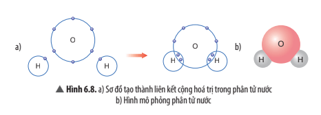 Quan sát Hình 6.8, em hãy cho biết số electron dùng chung của nguyên tử H và nguyên tử O