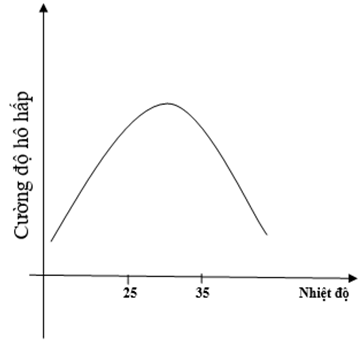 Hãy vẽ đồ thị thể hiện mối quan hệ giữa nhiệt độ và hô hấp tế bào