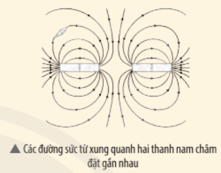 Từ hình ảnh của các đường sức từ (Hình 19.5), hãy nêu một phương pháp xác định